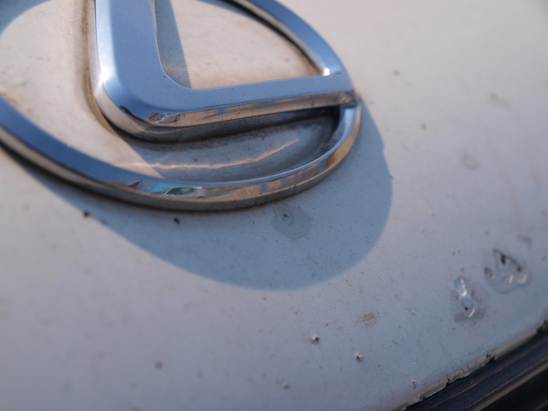 Illustration for article titled I Bought A Lexus For $600